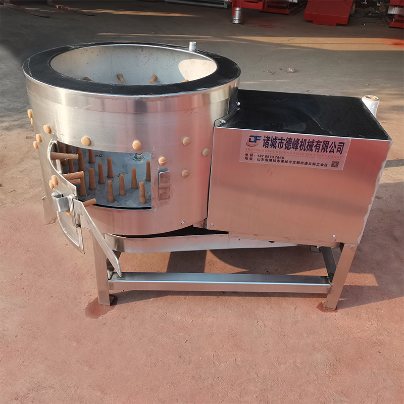 雞鴨胗打油機(jī)